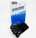 Zylinderkopfschrauben Satz REINZ 14-55015-01