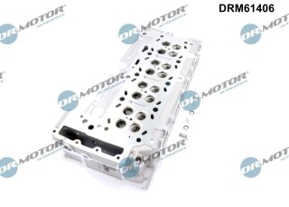 Zylinderkopf nackt DRM61406