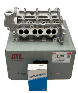 Zylinderkopf vormontiert 910145 + REINZ Schrauben