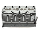 Zylinderkopf komplett 908816  + Kopfschrauben 258709 +...