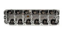 SET: Zylinderkopf teilmontiert 910165 + Nockenwelle 50006239