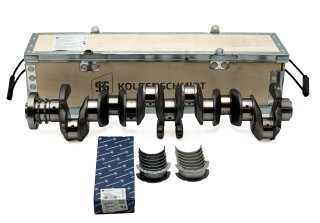 Kurbelwelle KS 50030001 + Hauptlager 77953600