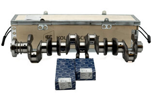 Kurbelwelle KS 50030001 + Hauptlager + Pleuellager