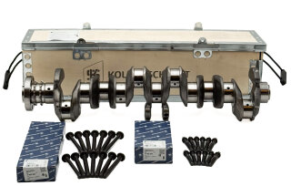 Kurbelwelle KS 50030001 + Lager + Schrauben