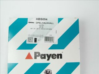 Zylinderkopfschrauben Satz 105mm Innen-Torx PAYEN HBS054