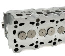 Zylinderkopf komplett 908816
