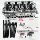 Zylinderkopf vormontiert 908818K + Nuss + ZKD 2 Loch + Dichtsatz