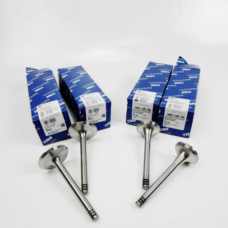 BESTPRICE Ventil Set - 3 Einlass + 3 Auslassventile + Dichtungen