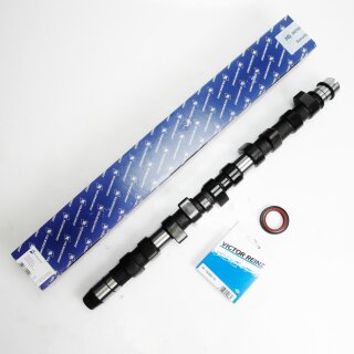 SET: Nockenwelle 50006283 + Wedi 81-19299-10