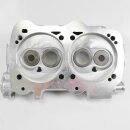 Zylinderkopf vormontiert 910184