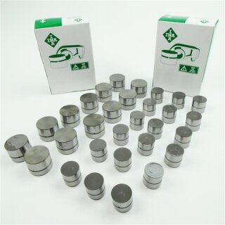 Hydrostössel Motorset 12x Auslass + 18x Einlass INA