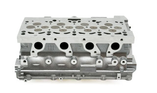 Zylinderkopf vormontiert 908818K + REINZ ZKD 1 Loch