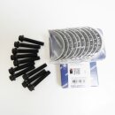 SET: Pleuellager 77803600 + 10 Schrauben 50009202