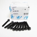 SET: Pleuellager 77803600 + 10 Schrauben 50009202