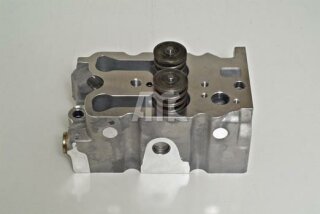 Zylinderkopf vormontiert AMC 908187