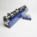 Nockenwelle 50006110 + Nockenwellenlager 77998600