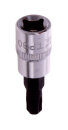 1/4 Zoll Einsatz TORX T30 ROOKS