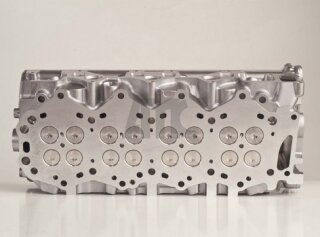 Zylinderkopf vormontiert 908849