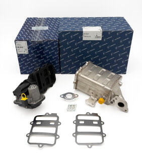 AGR Kühler 7.09730.12.0 + Ventil 7.04999.34.0