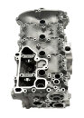 Zylinderkopf vormontiert 910810