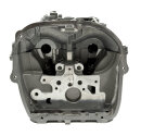 Zylinderkopf vormontiert 910810