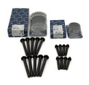 Hauptlager KS 77951600 STD+ Pleullager 77970600 + Lagerbock-Kurbelwelle Schrauben + Pleuelschrauben