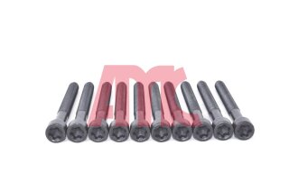 Zylinderkopfschraubensatz AMC 258700