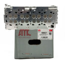 Zylinderkopf vormontiert 908627